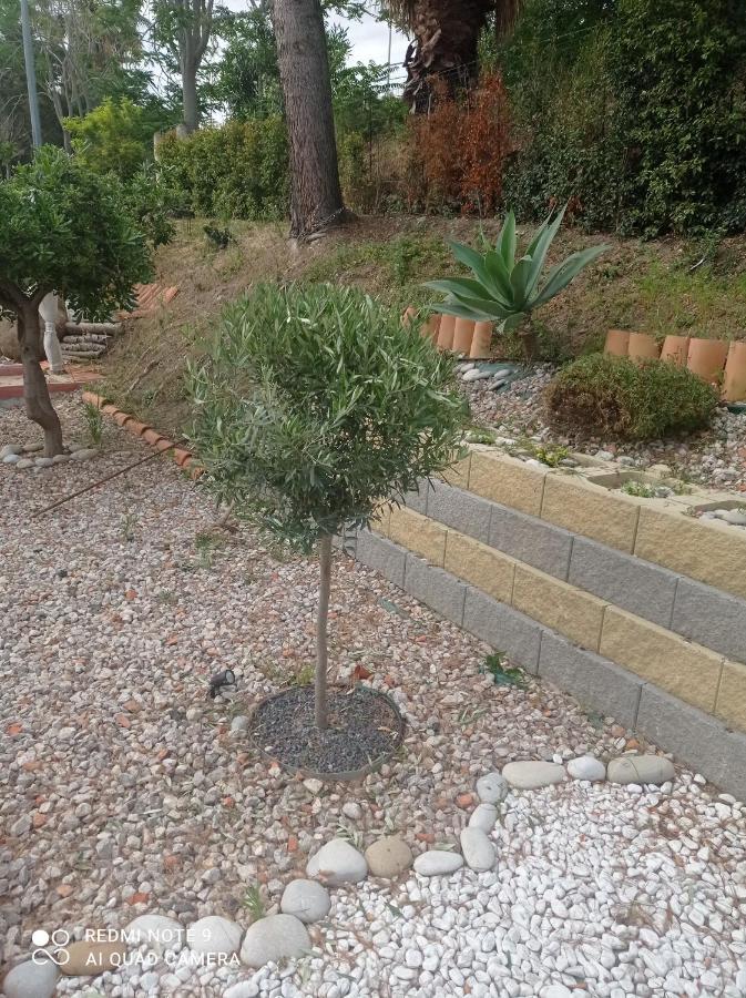 Villa Belvedere Campofelice Di Roccella Dış mekan fotoğraf